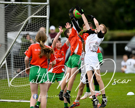 Castledawson U11.5 Tournament  (267 of 349)