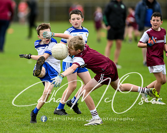 Castledawson U11.5 Tournament  (236 of 349)