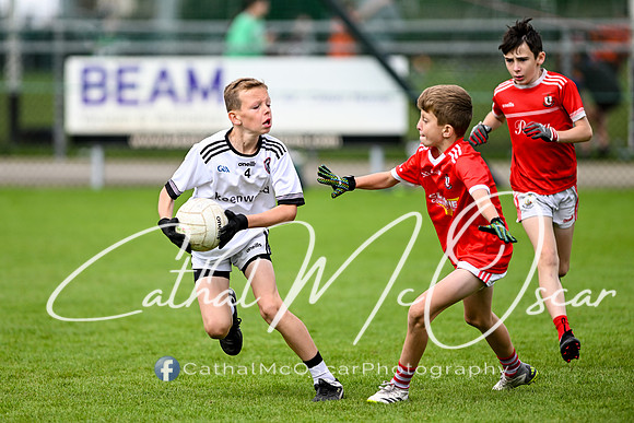 Castledawson U11.5 Tournament  (164 of 349)