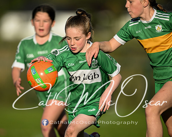Ballymaguigan v Loup-3
