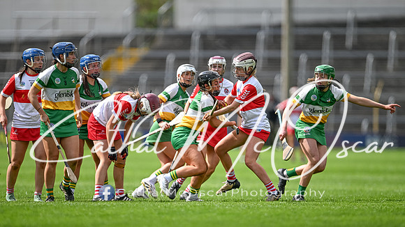 Derry v Offaly (120 of 148)