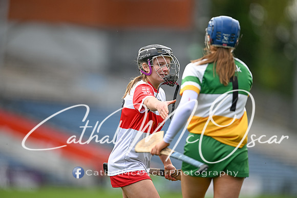 Derry v Offaly (142 of 148)