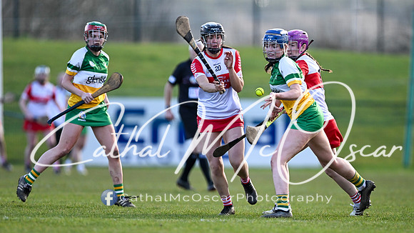 Derry v Offaly (111 of 142)