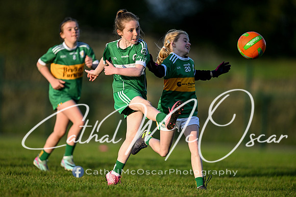 Ballymaguigan v Loup-39