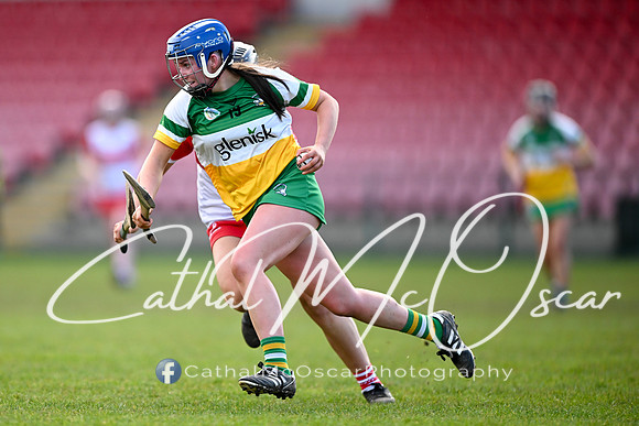 Derry v Offaly (86 of 142)
