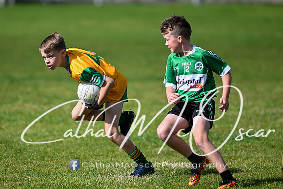 U11 Desertmartin Tournament (19 of 87)