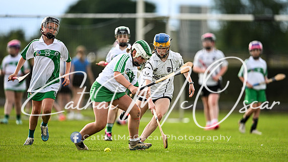 Castledawson v Loup (48 of 101)