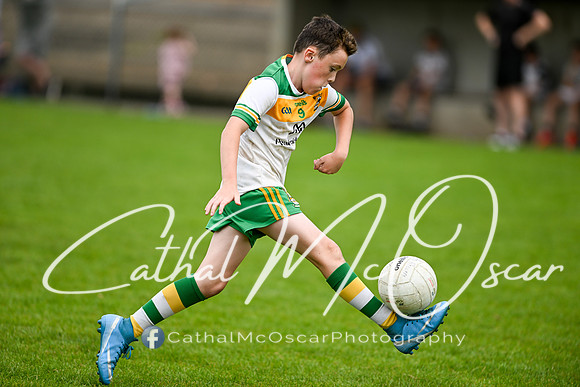Bellaghy Festival of Football (341 of 361)