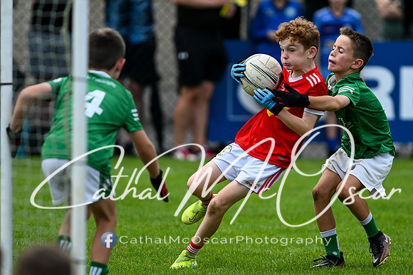 Bellaghy Festival of Football (337 of 361)
