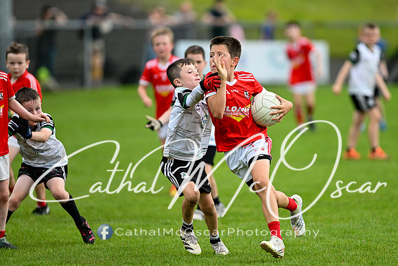 Bellaghy Festival of Football (307 of 361)