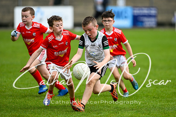 Bellaghy Festival of Football (326 of 361)