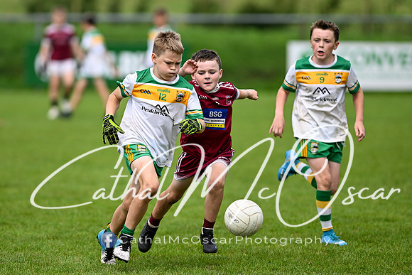 Bellaghy Festival of Football (334 of 361)