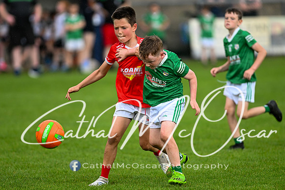 Bellaghy Festival of Football (363 of 361)