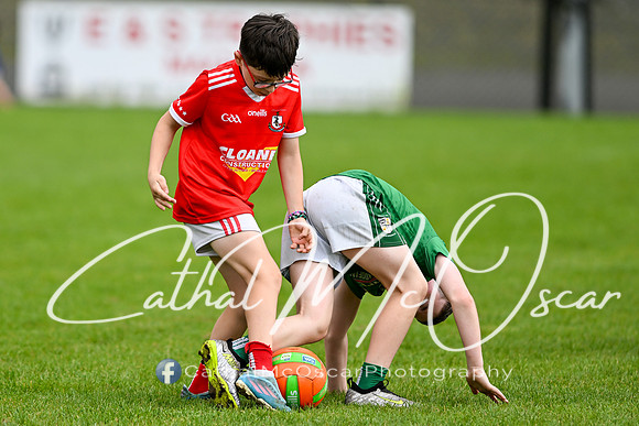 Bellaghy Festival of Football (367 of 361)