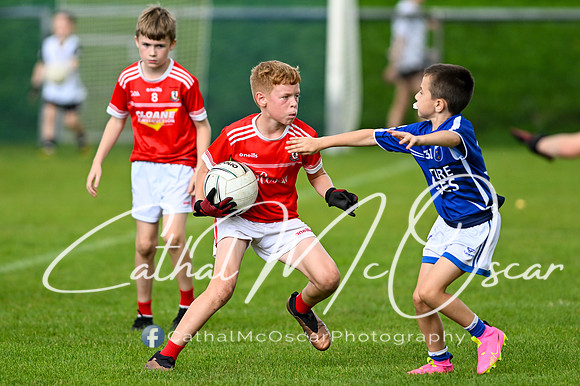Bellaghy Festival of Football (216 of 361)