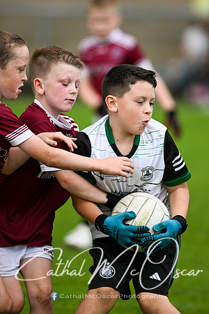 Bellaghy Festival of Football (258 of 361)
