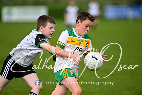 Bellaghy Festival of Football (375 of 361)