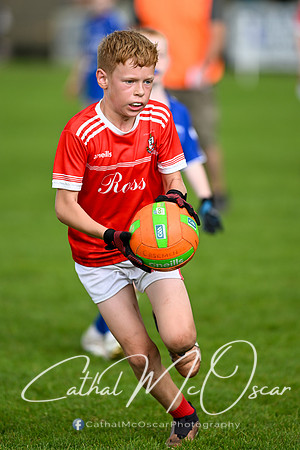 Bellaghy Festival of Football (226 of 361)