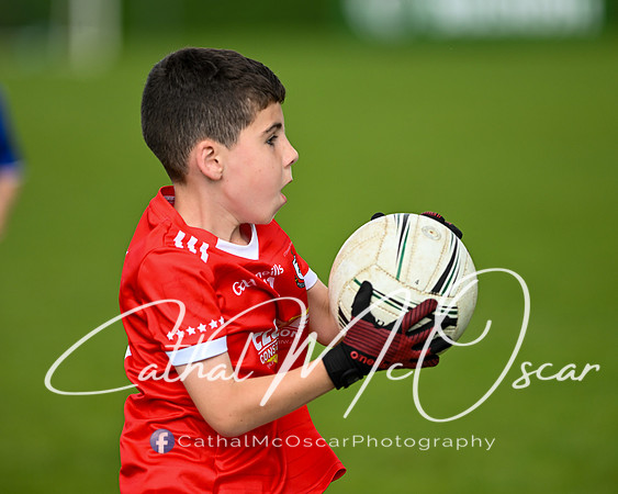 Bellaghy Festival of Football (217 of 361)