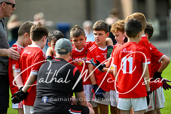 Bellaghy Festival of Football (329 of 361)
