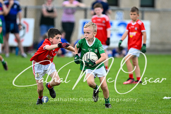 Bellaghy Festival of Football (353 of 361)