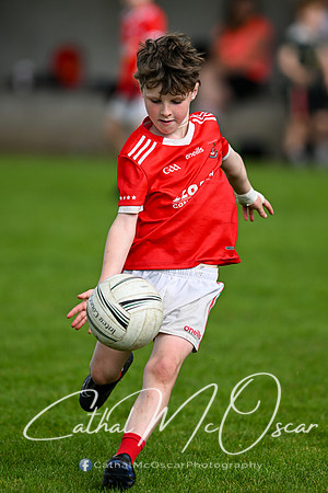 Bellaghy Festival of Football (224 of 361)