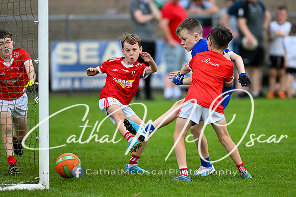 Bellaghy Festival of Football (280 of 361)