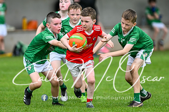 Bellaghy Festival of Football (354 of 361)