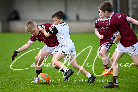 Bellaghy Festival of Football (359 of 361)