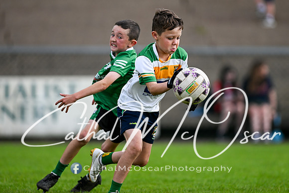 Bellaghy Festival of Football (167 of 361)