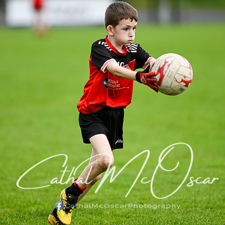 Bellaghy Festival of Football (356 of 361)