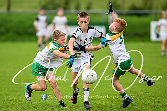 Bellaghy Festival of Football (300 of 361)