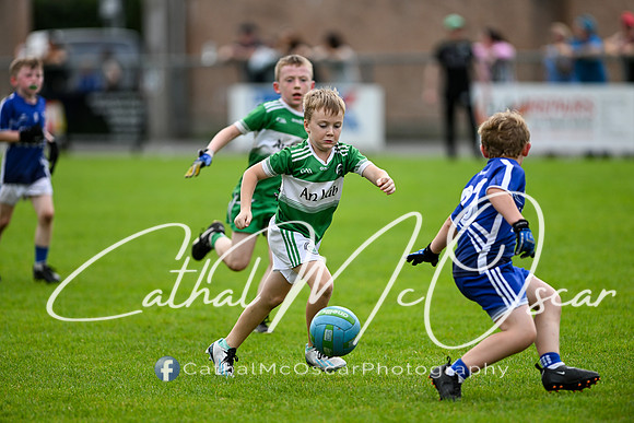 Bellaghy Festival of Football (315 of 361)