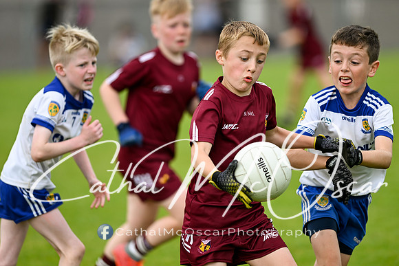 Banagher U9 Tournament (266 of 335)