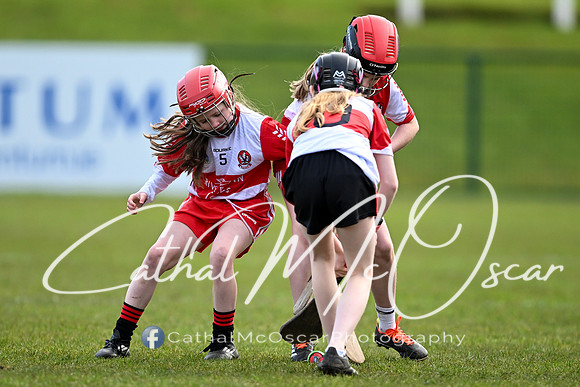 Derry v Offaly (57 of 142)