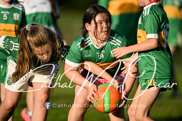 Ballymaguigan v Loup-28