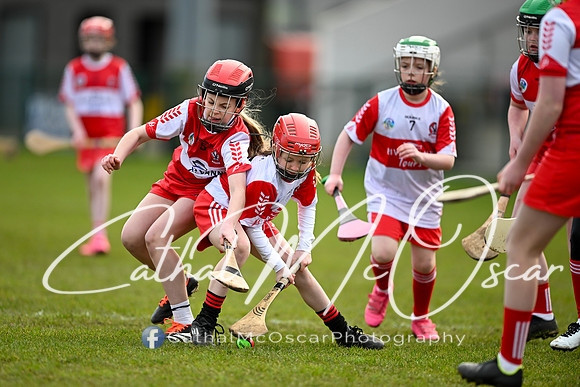 Derry v Offaly (62 of 142)