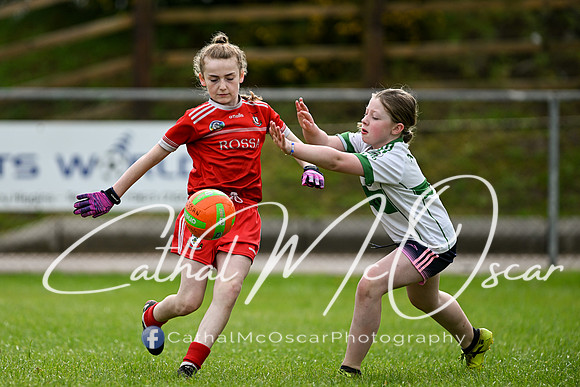 Lissan GO Games (29 of 105)