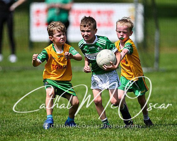 Derry Masters v Cavan (130 of 212)