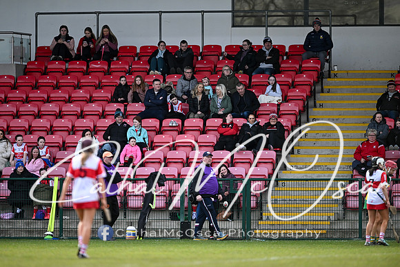 Derry v Offaly (42 of 142)