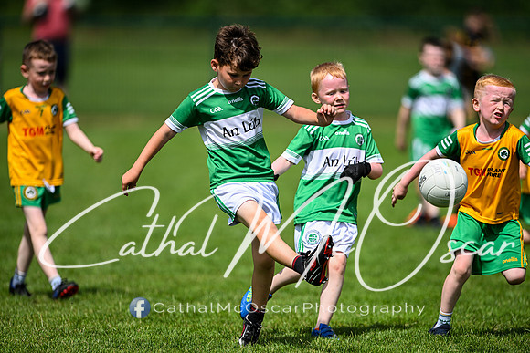 Derry Masters v Cavan (127 of 212)