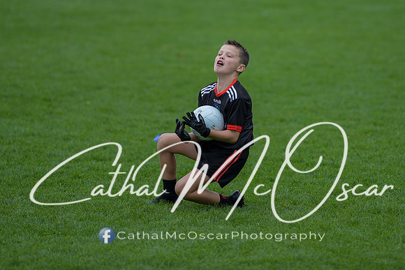 lissan cuil camp (256 of 258)