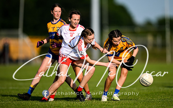 Rossa v Limavady (3 of 95)