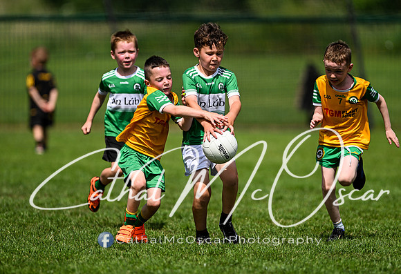 Derry Masters v Cavan (129 of 212)