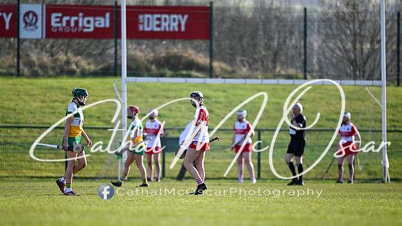Derry v Offaly (108 of 142)