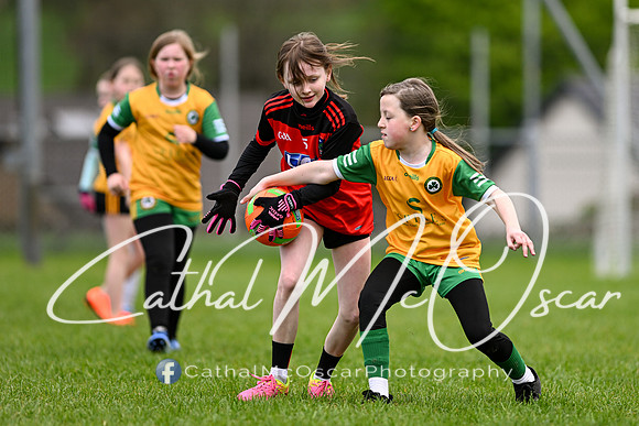 Lissan GO Games (68 of 105)