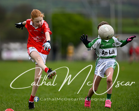 Lissan GO Games (44 of 105)