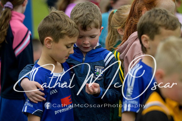 Le Gra Siobhan - Bellaghy (26 of 433)