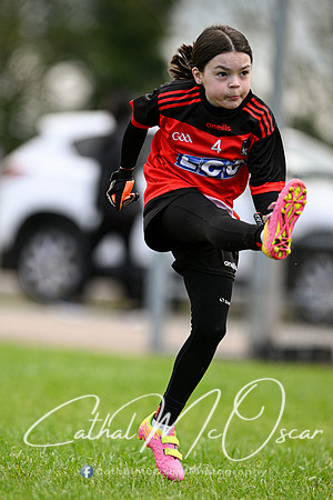 Lissan GO Games (75 of 105)