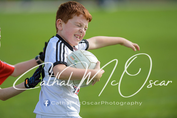 Castledawson U9 Tournament (60 of 250)